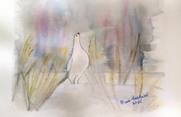Aquarelle sur papier carte