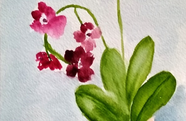 Aquarelle sur papier carte